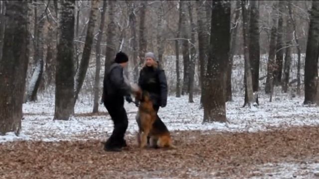 Juwel D'Ulmental - первые защитные тренировки смотреть онлайн