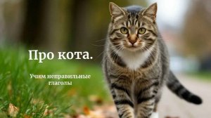 Про кота. Учим английские неправильные глаголы в стихах.