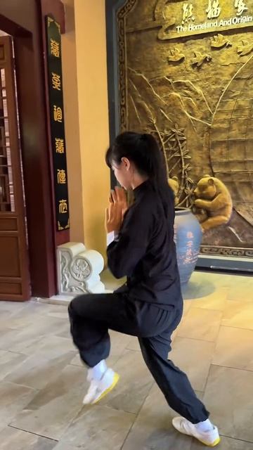 Боевые искуства Китая (115) смотреть онлайн