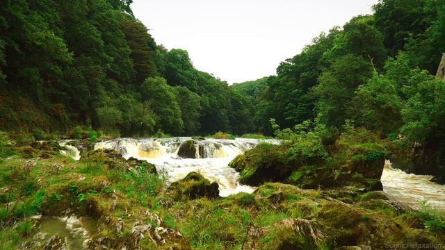 Powerful Waterfall Sounds - River Cascade - White Noise - Sleep, Relaxation, Meditation - 4k смотреть онлайн
