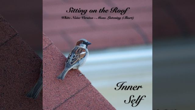 Sitting on the Roof - White Noise Version - Mono Listening (Short) (Music for Better Relaxing) смотреть онлайн