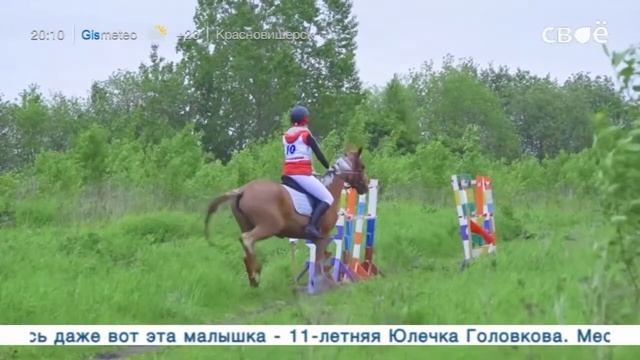 Наши Новости Пермский край Прямая трансляция от 16 июня смотреть онлайн