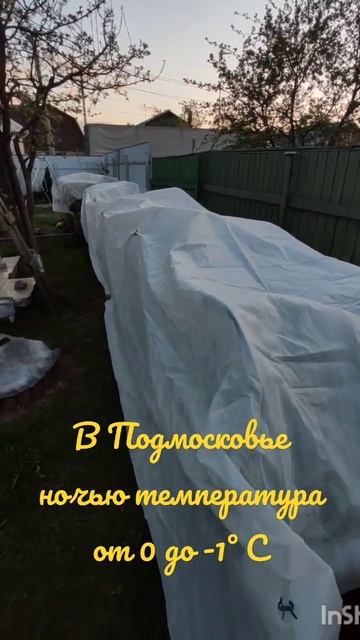 5 мая 2023 г. смотреть онлайн