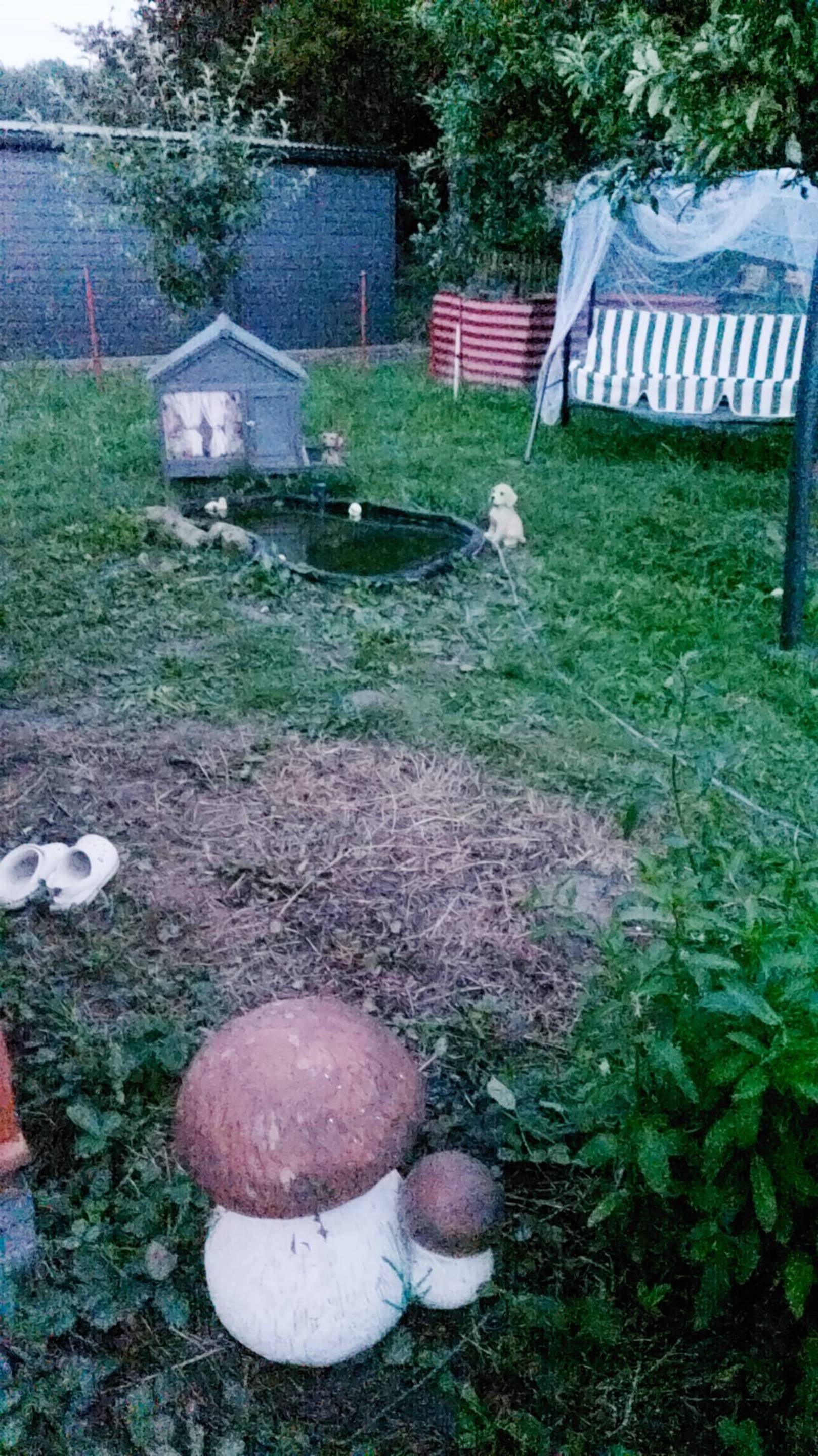 Ночью на даче в Чехии 20240707 смотреть онлайн