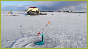 Весенний клёв окуня. Встретил оленей.