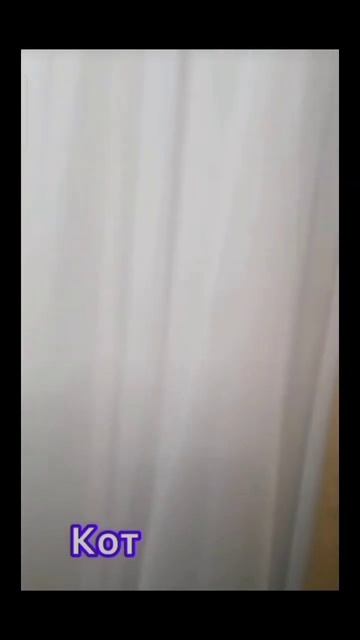 хозяин ты не видел здесь крыса была огромная #смех #прикол #кот #крыса #шортс #shorts смотреть онлайн