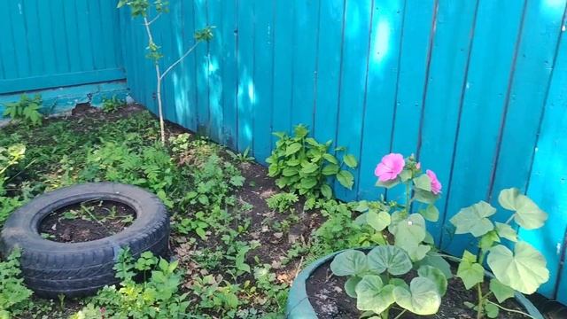 Простые радости деревни.Миньон и котлеты из сазана. смотреть онлайн