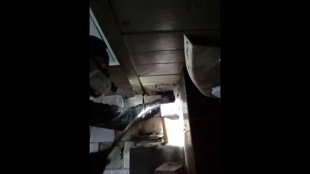 При чистке дымовой трубы обнаружили черного скворца. смотреть онлайн