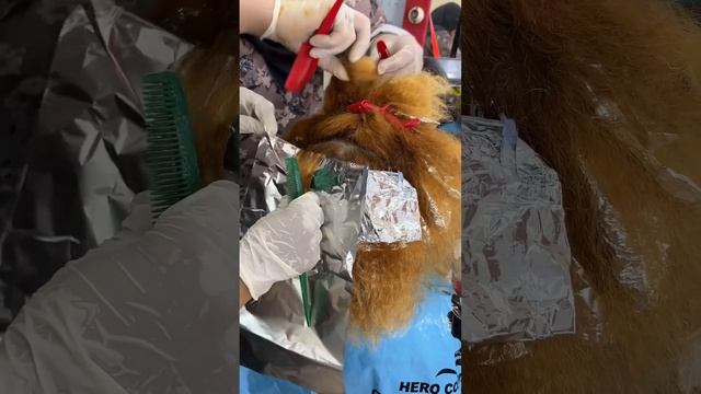 صبغه اشقر بيج في بني خطوه بخطوه في البيت 🫣😍😍🤩🤩 смотреть онлайн