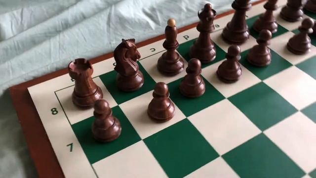 Dubrovnik Chessmen 3.0 From Chessbazaar (Green Vinyl Board)