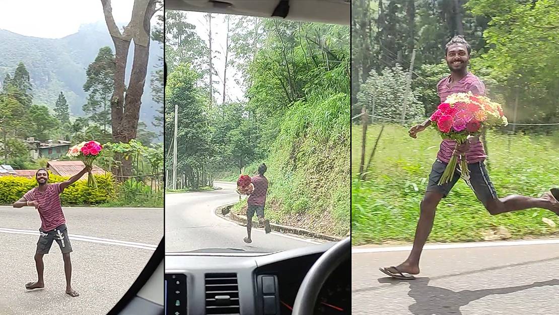 ШРИ-ЛАНКА ДВУХДНЕВНАЯ ЭКСКУРСИЯ МИСТЕР ОЛИМПИЯ смотреть онлайн