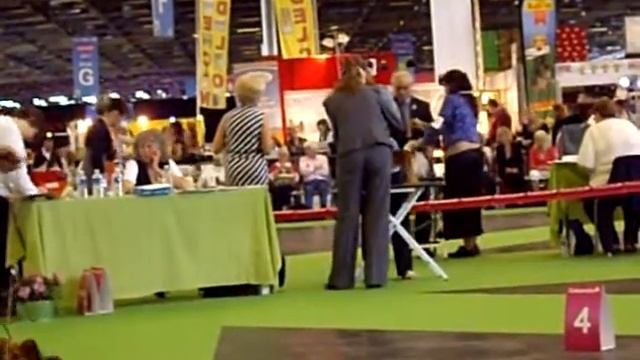 ЧЕМПИОН ФРАНЦИИ-2011. Власть Огня Эдельвейс. смотреть онлайн