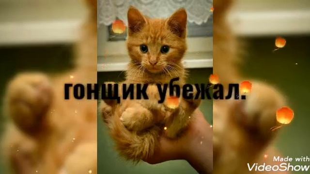 выбор гонщика( 1 часть) (проблема) смотреть онлайн
