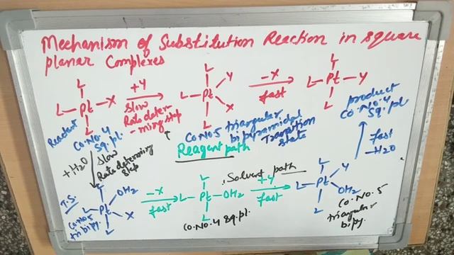 Solvent and reagent path mechanism for square planar complexes смотреть онлайн