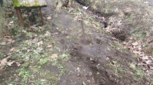 сажаем сливы  пересадка слив   весна пришла  работа закипела  ка сажать  сливы   сажаем сливы