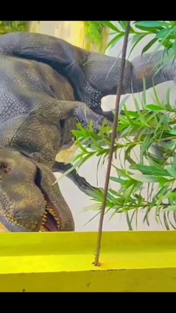 yshortsDinasaur#yshorts смотреть онлайн