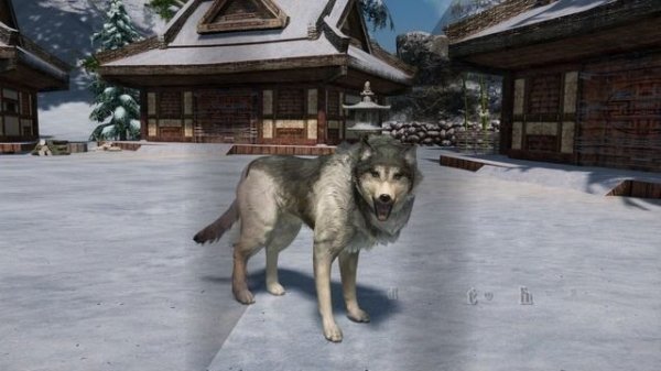 Skyrim MOD Showcase 📌 Best Dog Replacer Collection
