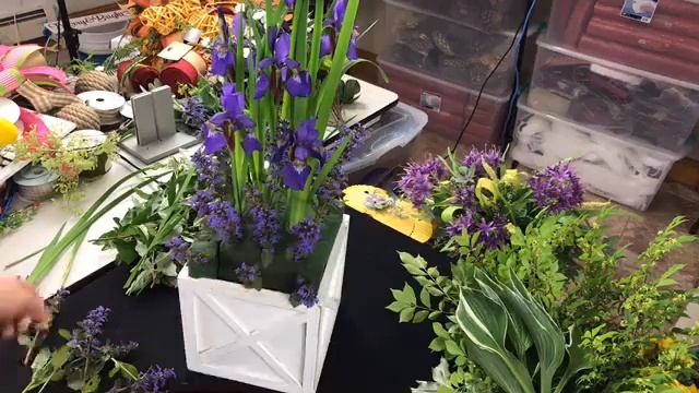Fresh Iris Arrangement LIVE