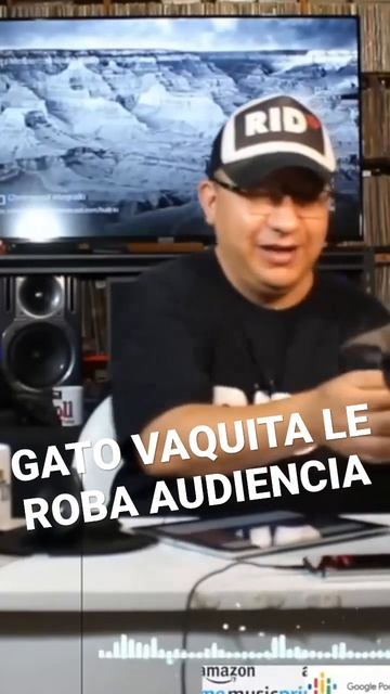 EL TROLL SIGUE SIENDO INTERRUMPIDO POR SU GATO VAQUITA #shorts
