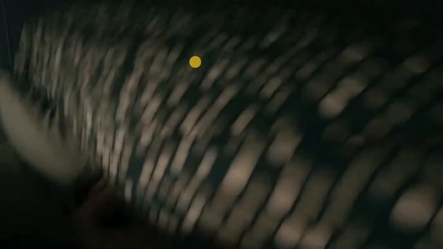 ИСПУГАЛСЯ - ПРОИГРАЛ - приятного просмотра!!! смотреть онлайн