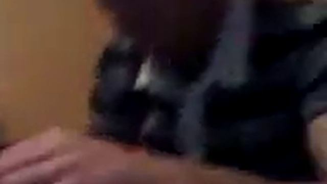 lutz bläst matratze auf смотреть онлайн