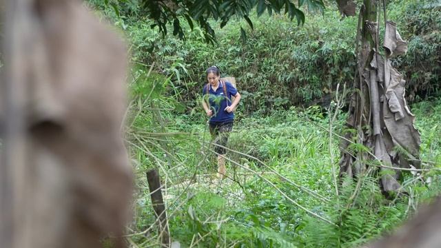 Ly Thi Ca Donated Fish - Make Bamboo Fence - Build Shelters For Catfish | Lý Phúc An смотреть онлайн