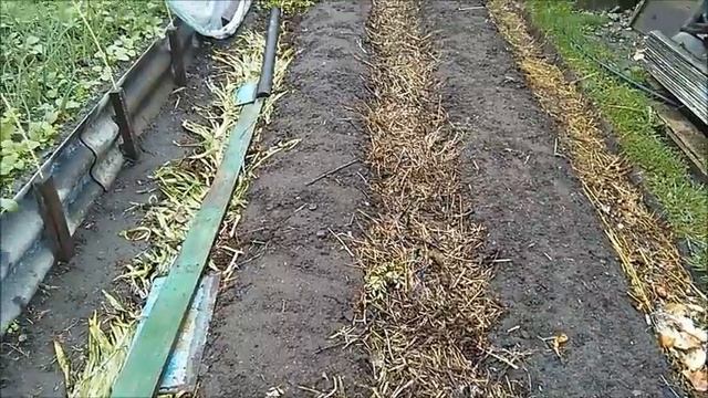 теплі грядки під агроволокном 30 04 2017 смотреть онлайн