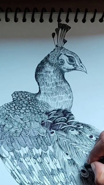 peacockart #shorts #art #how #creativity #artist #easy #love #youtubeshorts #youtube #shorts смотреть онлайн