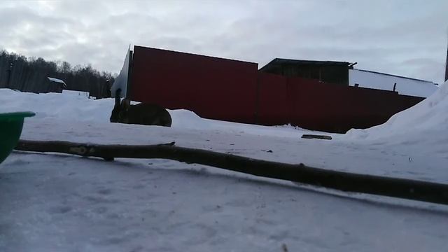 Ужин кролика смотреть онлайн