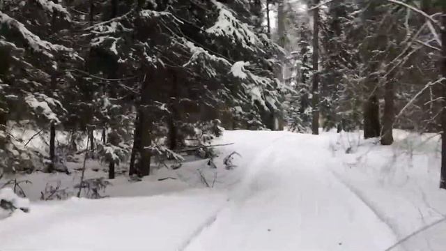 Катаемся на снегоходе