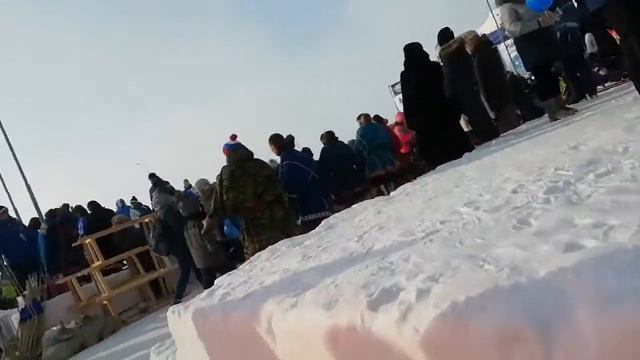 День оленевода 2019