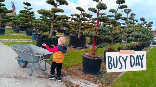 Baby Oliver takes care of Bonsai trees #202 | trẻ em,niños,أطفال, 子供, Дети,어린이,kinder,enfants,watot смотреть онлайн