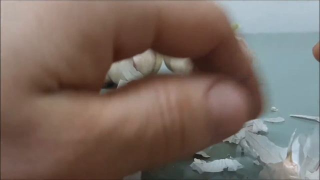 чеснок #1 #2 garlic #чеснок #garlic .eng.usа.ural #subscribe смотреть онлайн