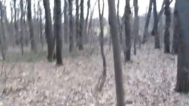 Безумната естакада на Семинарията 2 част