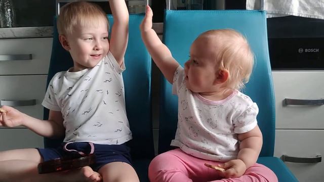Мои хомячки и печеньки смотреть онлайн