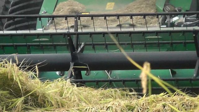 John Deere W540 -MY2017- mietitura riso / rice harvest 22/09/2018 смотреть онлайн