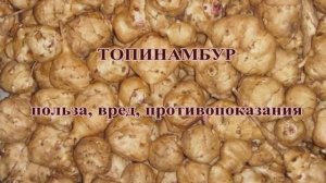 Топинамбур. Целебные свойства.