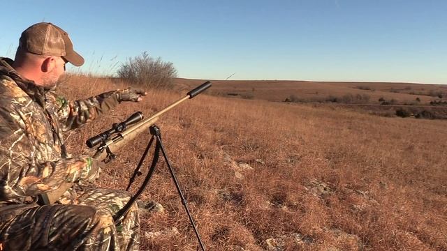 Kansas Coyote Hunting Action