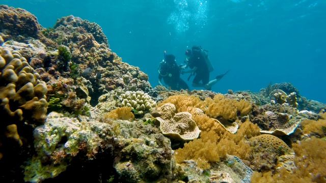 Batanes Travel Guide | Part 1 of 5: scuba diving in Batanes смотреть онлайн