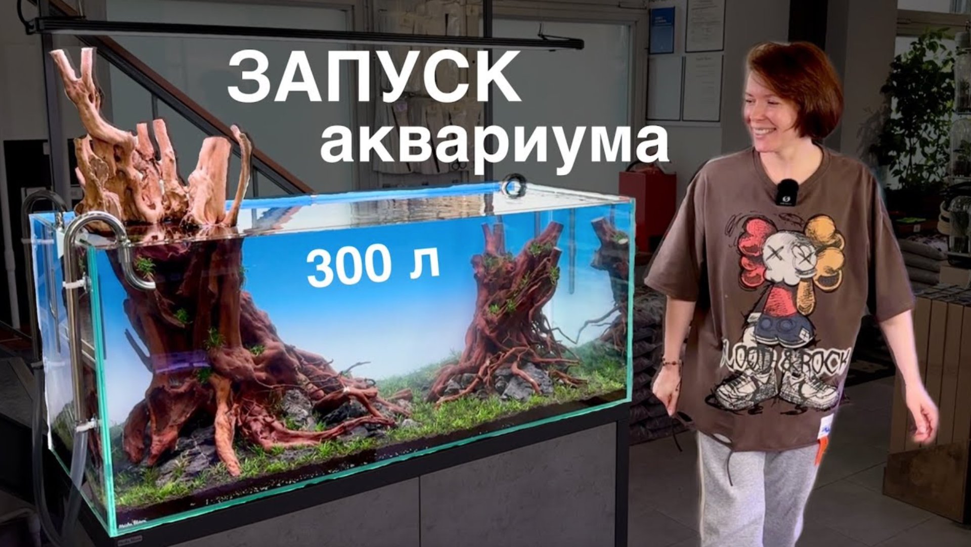ЗАПУСК АКВАРИУМА 300 литров | Фильтр MASHA BLOOM | Аквариумные растения | Коряги для аквариума смотреть онлайн