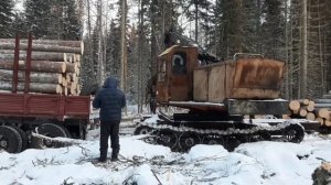 Погрузка древесины в лесу трактором ЛТ-72 Мультик лесоштабелёр  лесопогрузчик ЛТ- 72