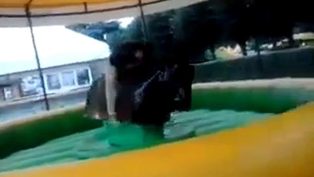 Покорение быка (часть 1) смотреть онлайн