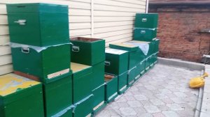 5 мая 2025 года