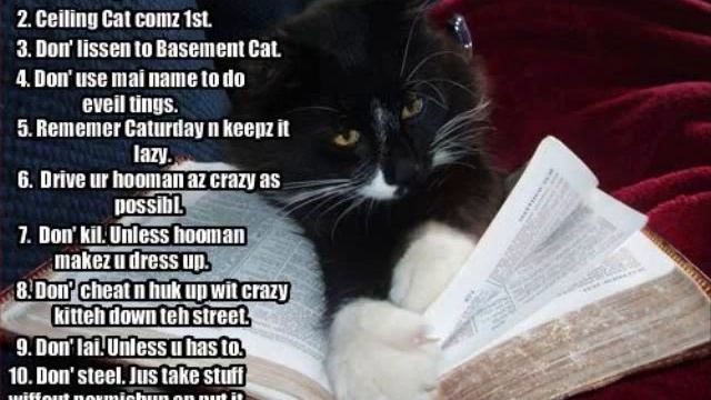 An LOLcat War, Ceiling Cat vs Basement Cat смотреть онлайн