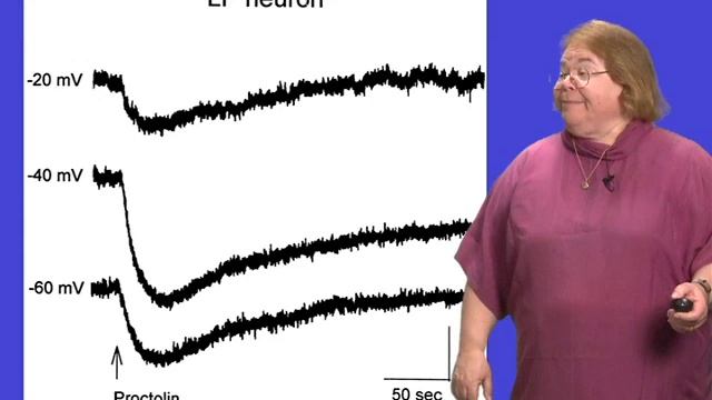Eve Marder (Brandeis University) Part 2: Neuromodulation смотреть онлайн
