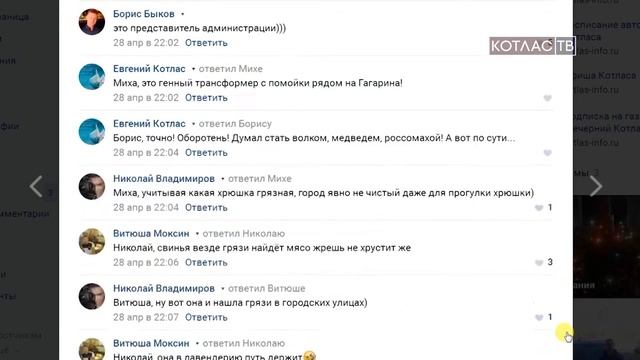 Свинья бегает 03 05 2017 смотреть онлайн