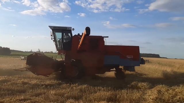 Żniwa 2020! BIZON Z056👌 Dźwięk silnika 😎 смотреть онлайн