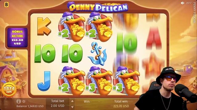 NICE WILDS ON PENNY PELICAN! смотреть онлайн