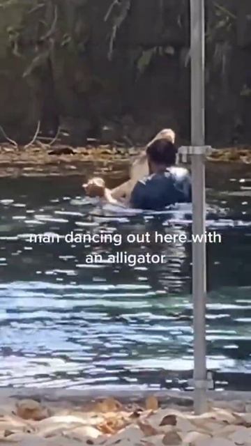 Man dancing out here with an alligator 🐊 смотреть онлайн