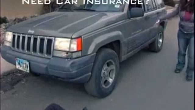 Gecko Commercial (Geico Spoof) смотреть онлайн